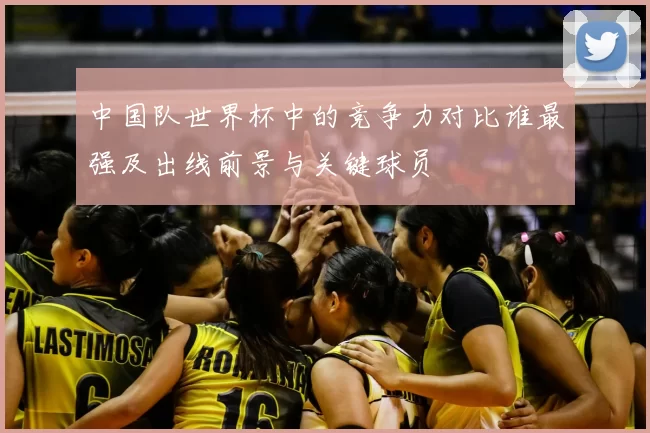 中国队世界杯中的竞争力对比谁最强及出线前景与关键球员