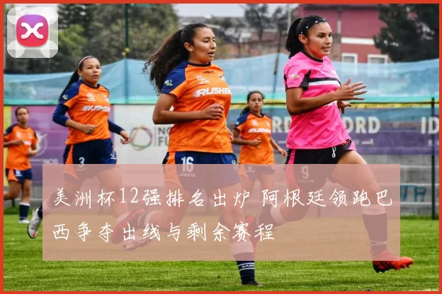 美洲杯12强排名出炉 阿根廷领跑巴西争夺出线与剩余赛程